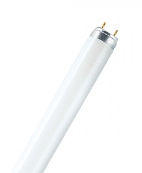 Лампа Bellight LFL 36/765 230В G13 - купить в Тамбове