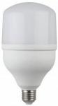 Лампа свд. LED GL 50Вт E27/Е40 6500К 220V, Econ